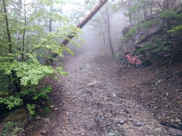 IMG_20190907_104856.jpg