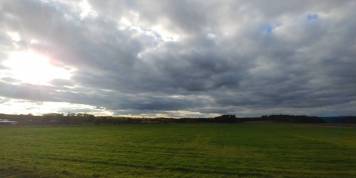 20191030_142901_HDR.thumb.jpg.20a29b089733cb1a900702e8676ab122.jpg