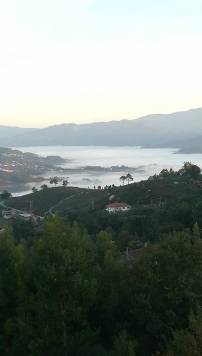 IMG_20191026_082530.jpg