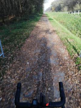 IMG_20191026_143146.jpg