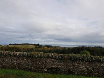 20191110_123949.jpg