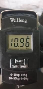 20191114_233806.jpg