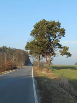 DSCN4538.JPG