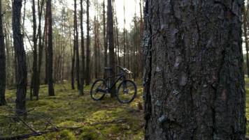 IMG_20200209_121452.thumb.jpg.edf71c963ef68f0c242e0e400d80bf32.jpg
