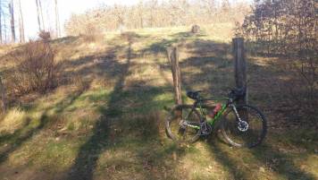 20200325_125819.jpg