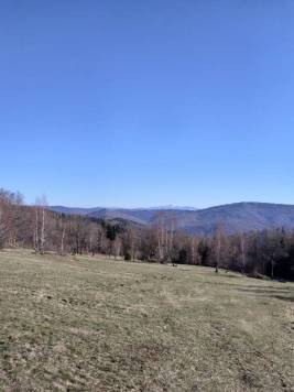 IMG_20200315_144752.jpg