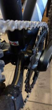 IMG_20200324_155456.thumb.jpg.39ceb14ff685e9f02be5f6c29cd1421e.jpg