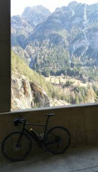 IMG_20200403_133306.jpg