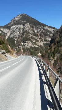 IMG_20200405_154052.jpg