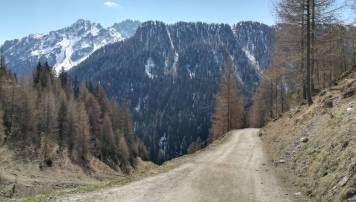 IMG_20200413_114306.jpg