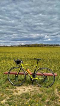 IMG_20200426_143820_HDR-01.jpeg