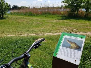 20200519_121613.jpg