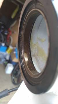 IMG_20200502_134119.jpg