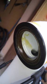 IMG_20200502_134254.jpg
