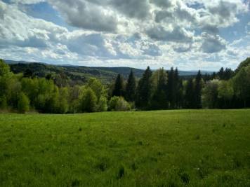 IMG_20200502_152010_HDR.thumb.jpg.3ad3ac23b09812bf098e54a6cfd09151.jpg