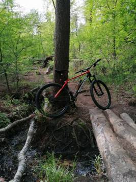 IMG_20200508_163244.jpg