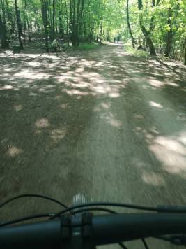 IMG_20200510_102657.jpg