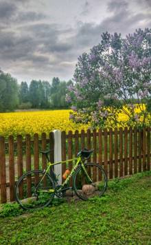 IMG_20200518_185926-01.jpeg
