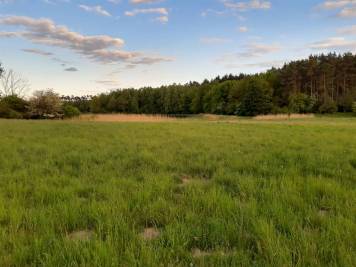 IMG_20200520_200229520_HDR.jpg