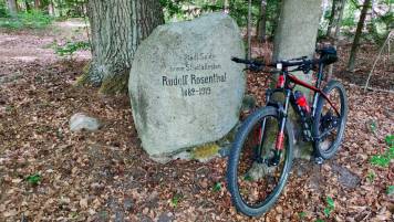 IMG_20200531_134247.thumb.jpg.78eb6102a9e660731c0c6f386f757a4c.jpg