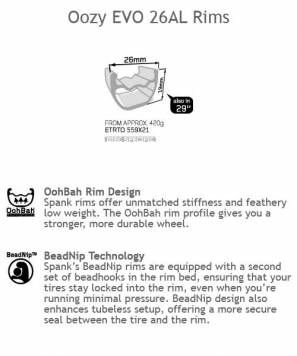 RimFeature_Oozy_26AL_02.jpg