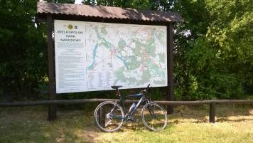 WP_20150718_002.jpg
