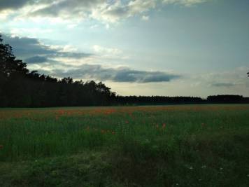 IMG_20200611_190612.jpg