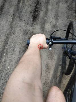 IMG_20200627_125444.jpg