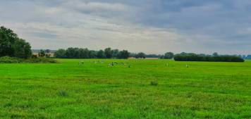 20200710_090155_1.jpg