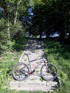 20200725_074130.jpg