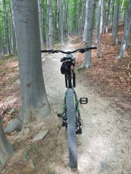 20200726_120138.jpg