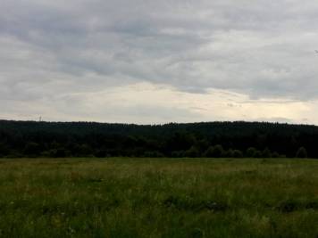 965069443_W(94).thumb.jpg.8d89182b95ca7c6773dc609adc2a678d.jpg