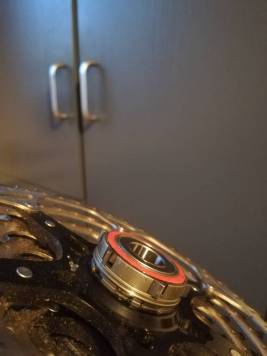 IMG_20200722_211455.jpg