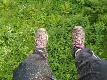 mtb.thumb.jpg.8b2d07ad8d8deaec8c7ee6df4053f7c1.jpg