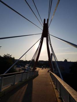 20200807_070659.jpg