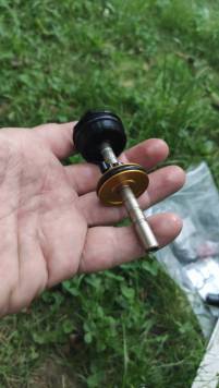 IMG_20200711_142224.thumb.jpg.69bfddef9ceb5a9157bd94292a4d5a7c.jpg
