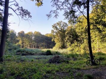IMG_20200821_083159551_HDR.jpg