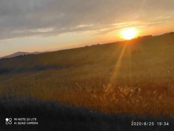 IMG_20200825_193458.jpg