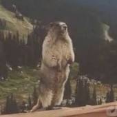 AdrianR