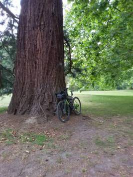 2020-06-21_14-08-30_-_cycling.jpg