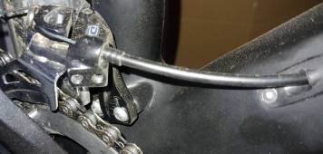 20200907_175254.jpg
