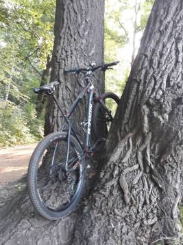 20200912_084352.jpg