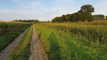 20200921_174923.thumb.jpg.f9b58a1d2f90d7fa8673742c2487ad31.jpg