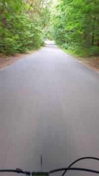 20200923_175438.thumb.jpg.1cca0eced77e2ddb47c49988ad6ec8b0.jpg