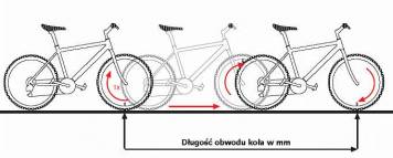 mierzenie-obwodu-koła.jpg