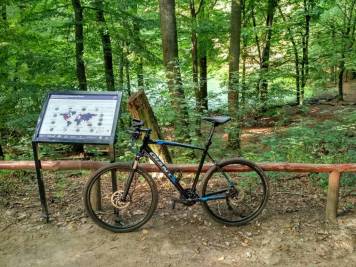 IMG_20200913_153631_HDR.jpg