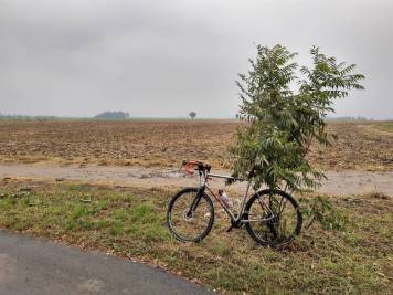 IMG_20200929_133500324_HDR.jpg