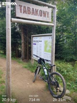 strava1895034878391017809.jpg