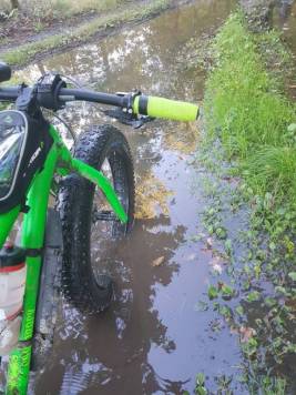 20201004_165425.jpg