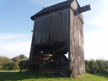 20201007_111042.jpg
